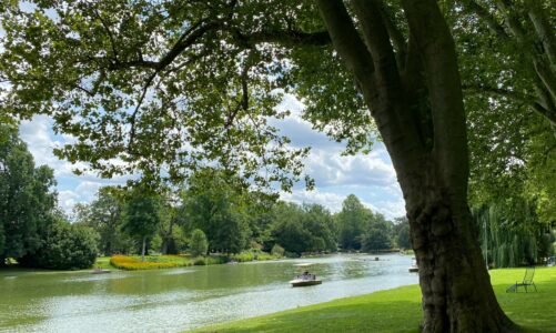 Crypto Casino mit Bitcoin-Spielautomaten – überall von unterwegs in den Parks greifbar