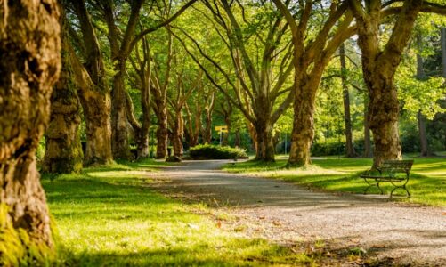 Entspannung in der Natur und digitale Unterhaltung: Wie Besucher des Naturpark Grebenzen ausländische casinos für Schweiz nutzen